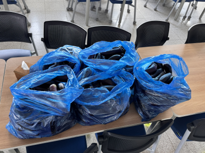 윷모횟집 후원자님 감사합니다!