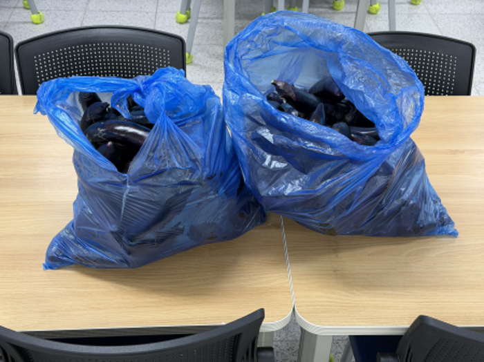 윷모횟집 후원자님 감사합니다!